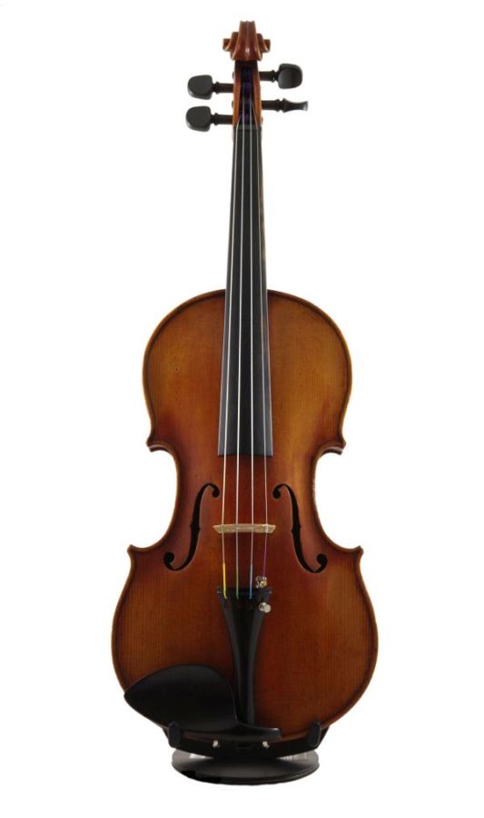 Nicolaus Amatus Czech.